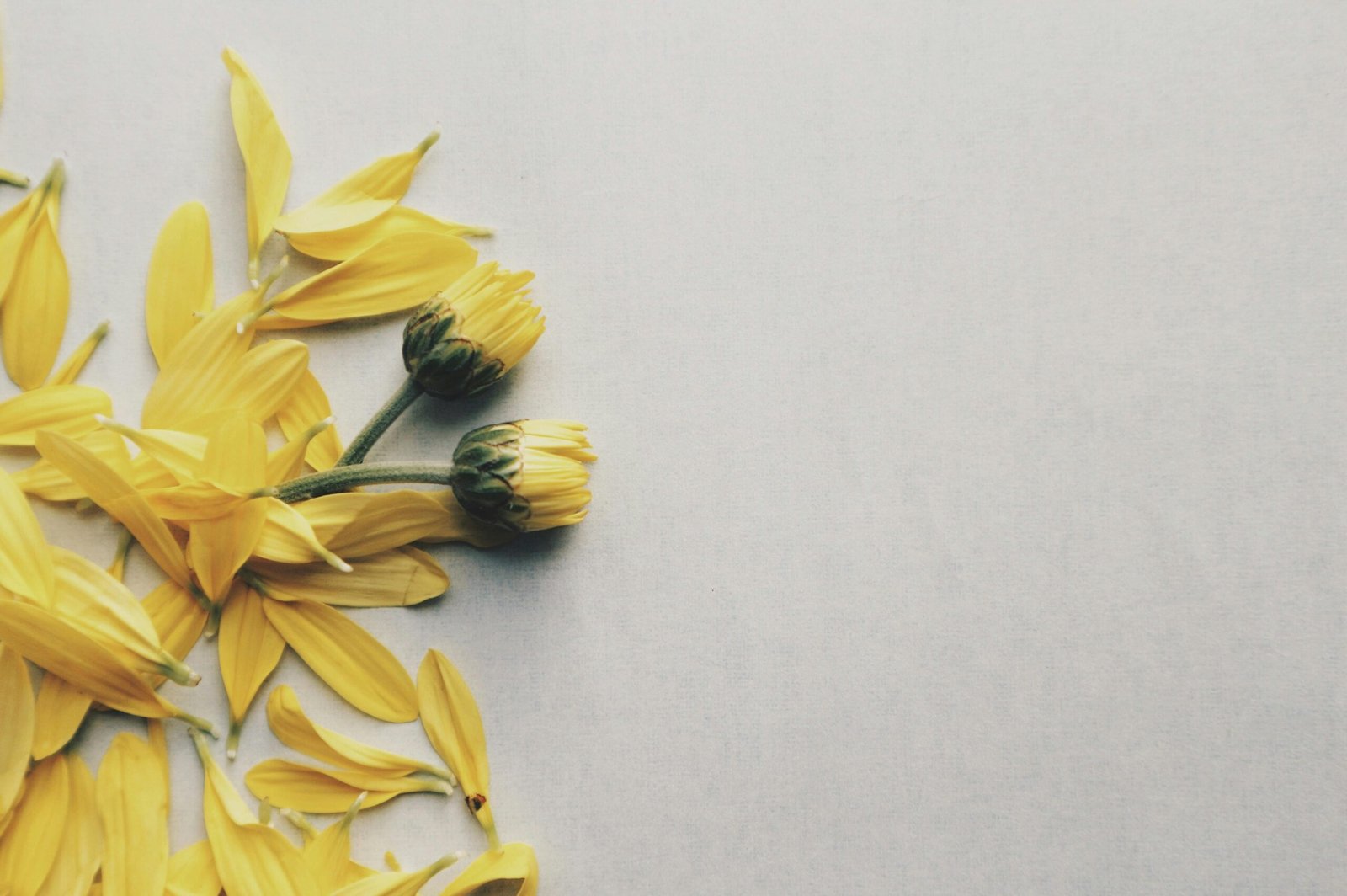 Individual Therapy 2 healthy boundaries and self-care in relationships