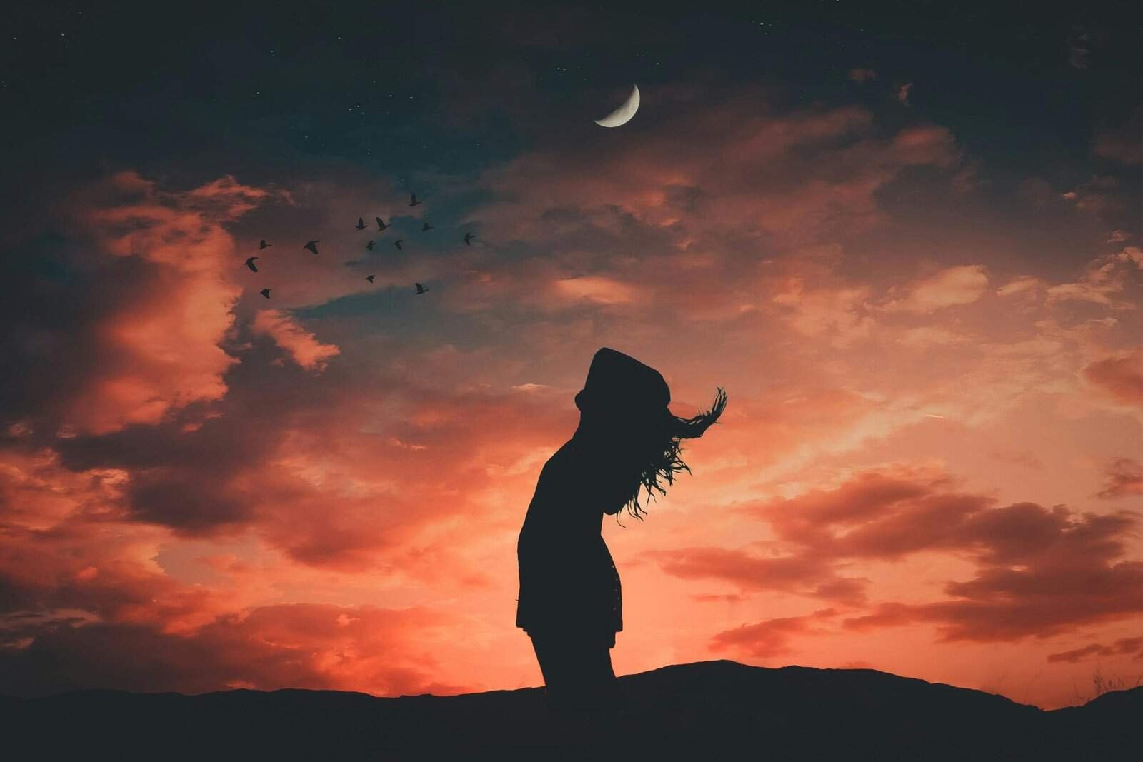 Freedom, happiness, purpose, meaning, fulfillment